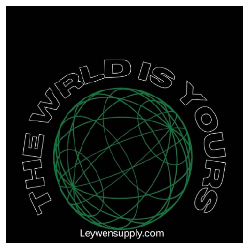 LEYWEN LLC